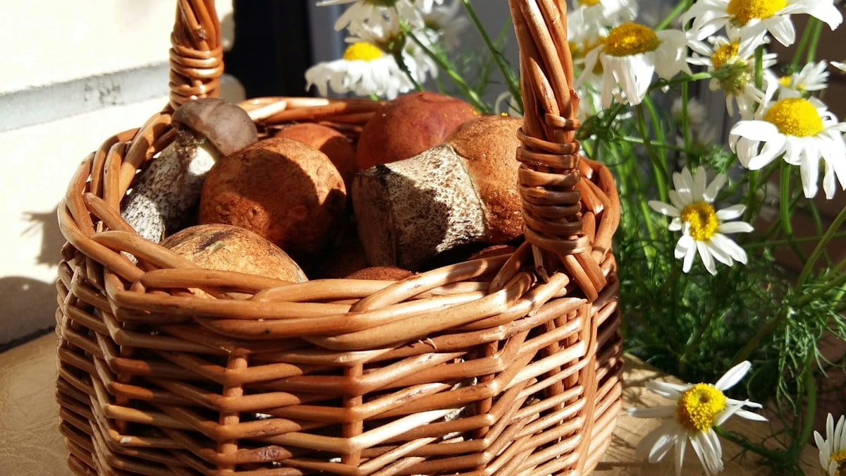 Корзинка с грибами и ромашки